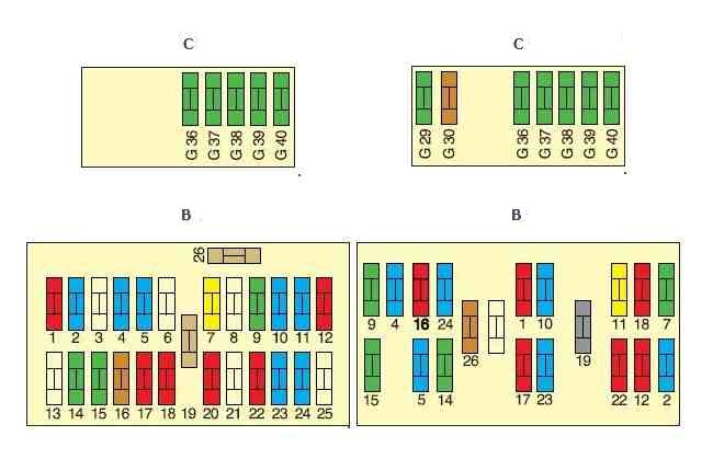 Citroën C5 (2001-2007) - caixa de fusíveis.